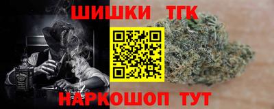стаф Гусев