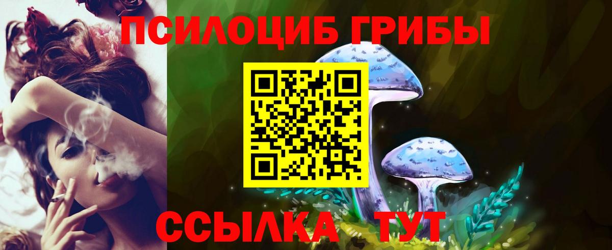 Люберцы  где можно купить наркотик  Вход с VPN  Галлюциногенные грибы мухоморы 